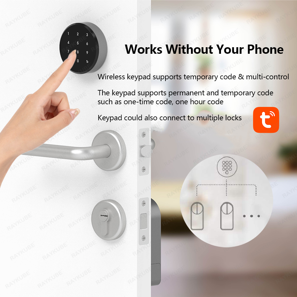 Raykube a1 pro tuya bel conjun - Smart Door Lock Wifi avaliação e preço